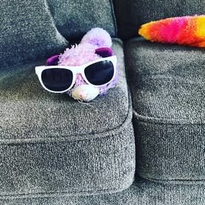 Meet your Posher, Kim